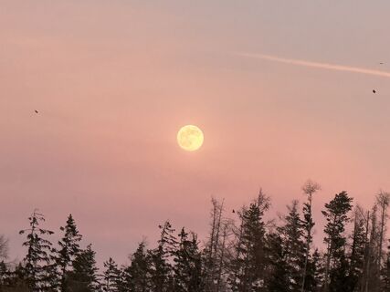 Fotografia z Bine Kopertz na trase
