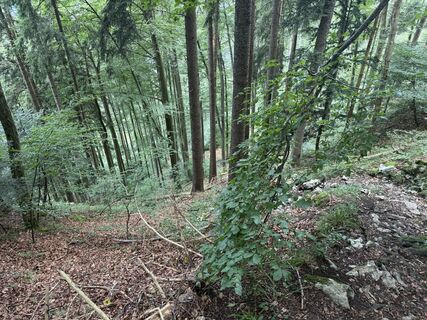 Fotografija s spletne strani Marco Rodzynek 2 na poti