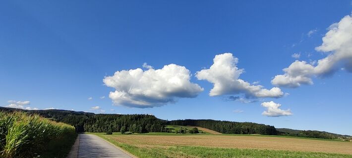 Photo de Karl Wiesinger le long du parcours