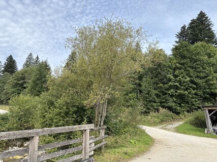 Fotografia z Heinz Sperl na trase