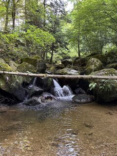 Foto von Babs Holz entlang der Tour