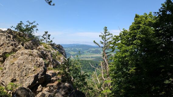 Fotografia z Martin Temm na trase