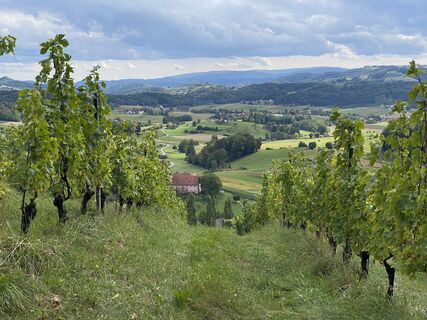 Foto von Tyler Lewis entlang der Tour