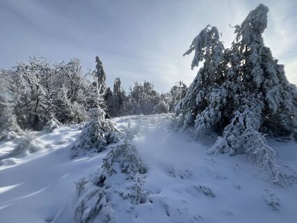 Photo de Andreas Hoffmann le long du parcours