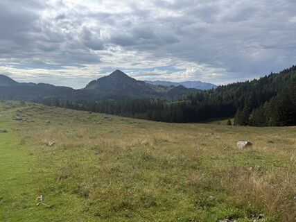 Foto från Markus W. under resans gång