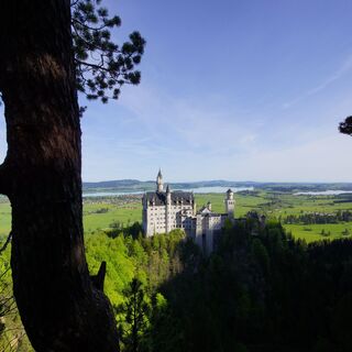 Neuschwanstein