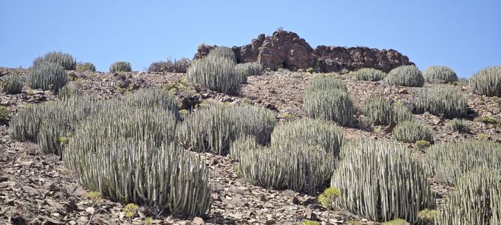 Foto de JürgÖ a lo largo del recorrido