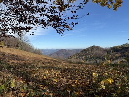 Foto von Anne Müller entlang der Tour
