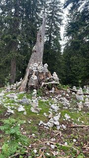 Foto von Thomas Pawlik entlang der Tour