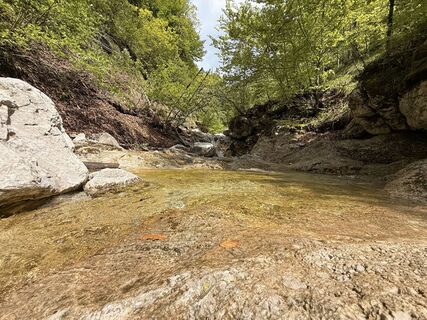 Photo de Natur_erleben_dg le long du parcours