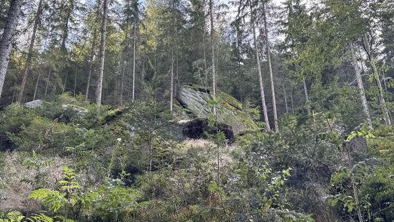 Foto von Christian Hohaus entlang der Tour