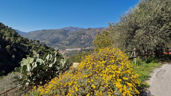 Fotografie z Fabrizi Mellano na trase