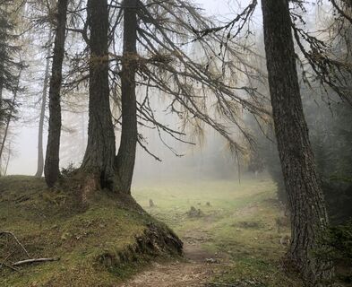 Foto från Gerardo Brunetti under resans gång