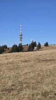 Foto från Moni under resans gång