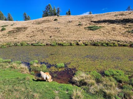 Fotografia z Peter Orasche na trase