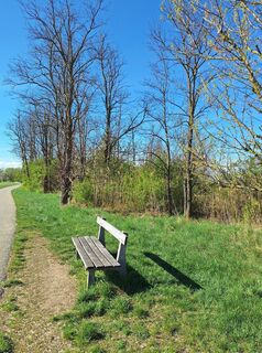 Foto de Mimi a lo largo del recorrido