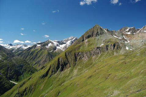Wiesbauerspitze