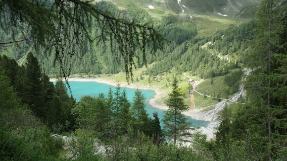 Foto da Arthur Muskalla lungo il tour