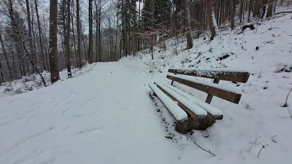 Fotografia z Frederick Müller na trase