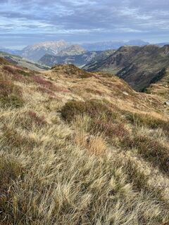Foto von Marina I entlang der Tour