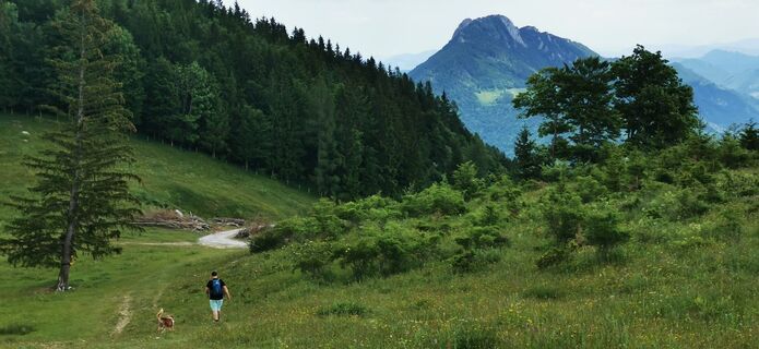 Zdjęcie z Klaus Lehner wzdłuż trasy