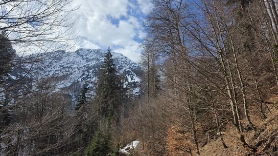 Foto von euterpe42 entlang der Tour