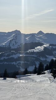 Fotografija s spletne strani Leon Bloch na poti