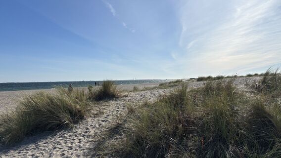 Fotografia z Stefan 13 na trase