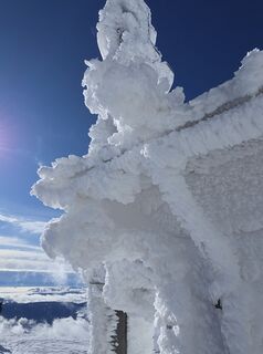 Fotografia z Gerti Bärnthaler na trase