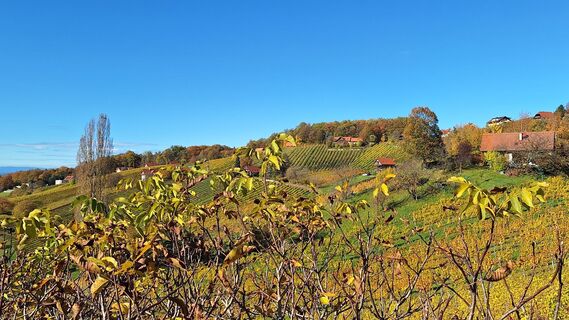 Fotó a Susi Puhl honlapról a túra során