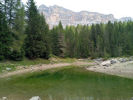 Fotografija s spletne strani edo calvo na poti