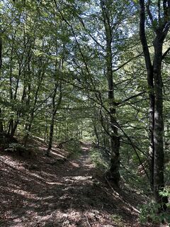 Photo de Federico Mantuano Identità Creative le long du parcours
