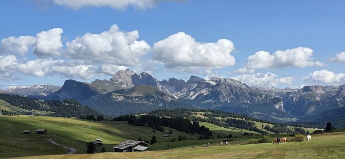Fotó a MG honlapról a túra során
