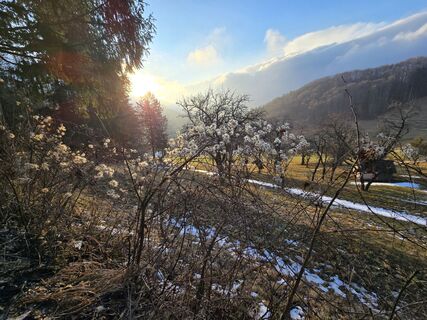 Foto von enipeus 65 entlang der Tour