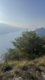 Fotografija s spletne strani ROBERTO BONIOTTI na poti