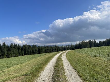 Foto fra firebird 93 undervejs på turen