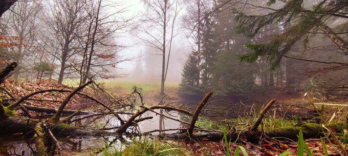 Foto de Jan 2505 a lo largo del recorrido