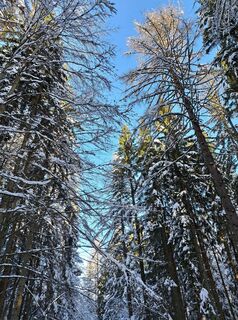 Foto von Daniela König 1 entlang der Tour