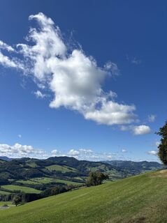 Foto de Michael Kogler a lo largo del recorrido