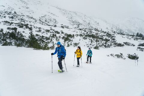 Schneeschuhwandern Plannersee Runde