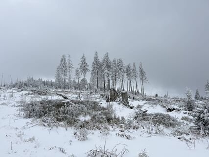 Zdjęcie z Natur_erleben_dg wzdłuż trasy