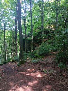 Fotografija s spletne strani Peter Kaulen na poti