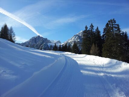 Blick auf die Dolomiten