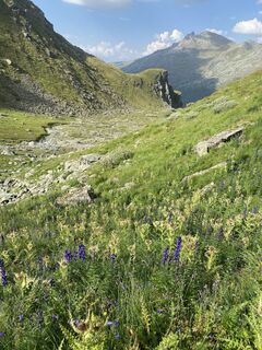 Fotografia z jandewinter na trase