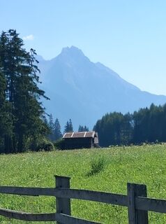 Foto von Olivier Meersman 1 entlang der Tour