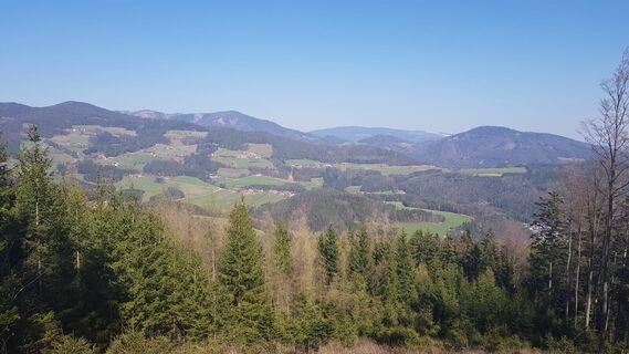 Stross_Weiz_Oststeiermark