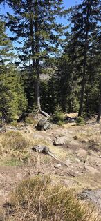 Foto von Michael Steiniger entlang der Tour