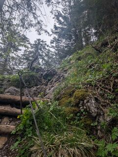 Foto von SFK entlang der Tour