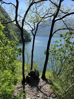 Fotografia z Heikoala na trase