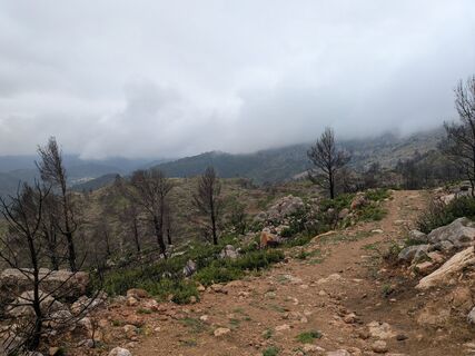 Foto de Karlsson vom Dach a lo largo del recorrido